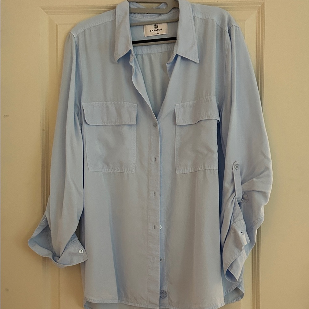 Aritzia/Babaton Light Blue Button-Up Shirt